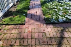 brick-paver-restoration-1.5