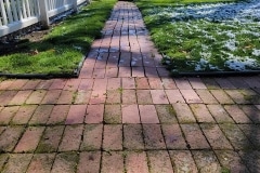 brick-paver-restoration-1