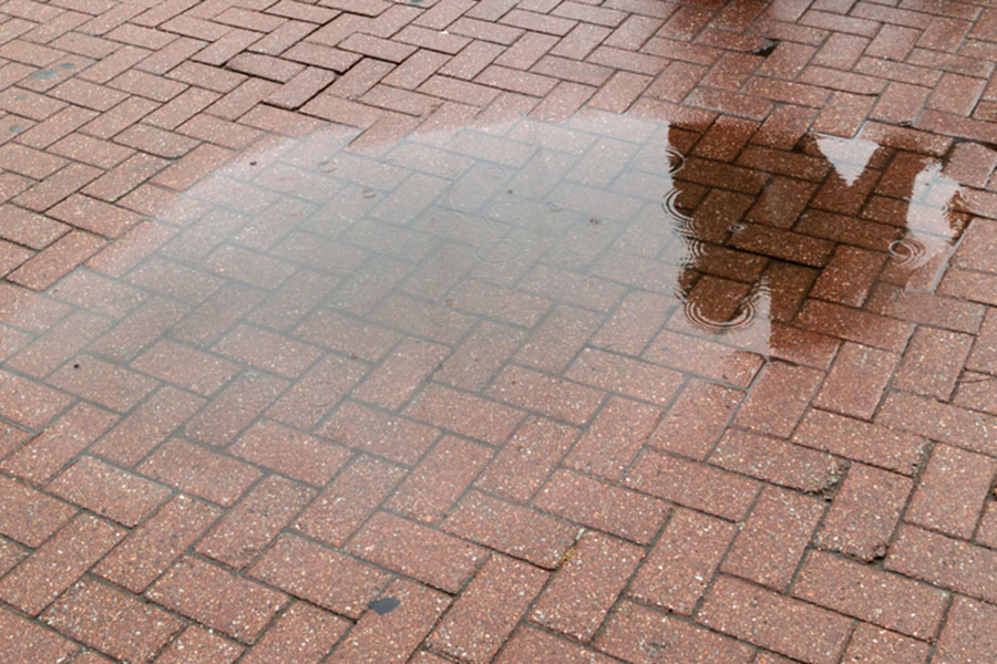 Brick Paver Puddle