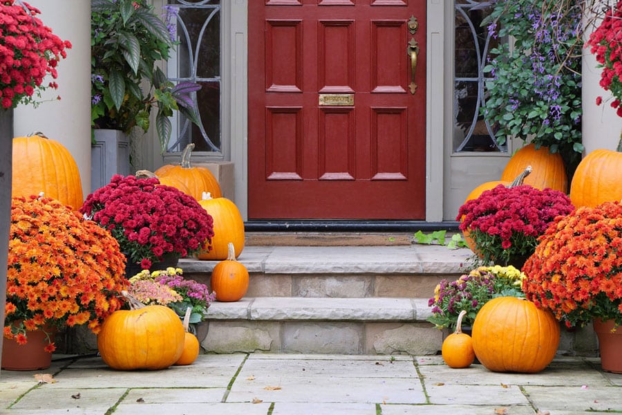 Front steps of a house decorated with pumpkins and pots of chrysanthemums in orange and red, with fall décor accenting the red door and two columns on either side.